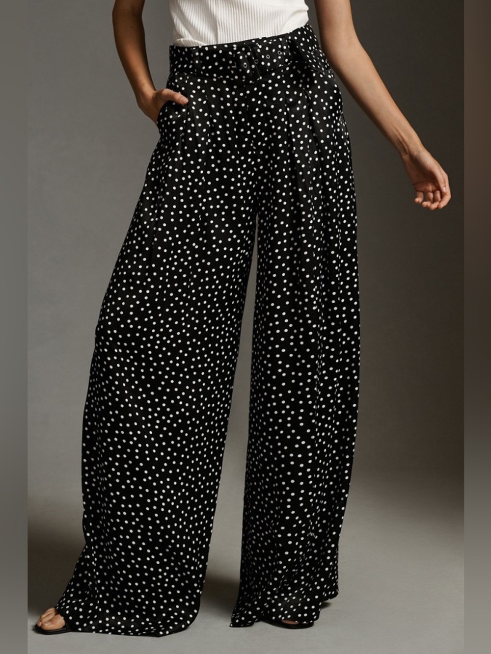 Anthropologie Maeve The Avery Pleated Wide-Leg Trousers Polka Dot 16 TALL